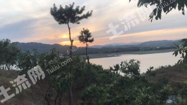 唐山迁西县 300亩 有林地经营权 转让