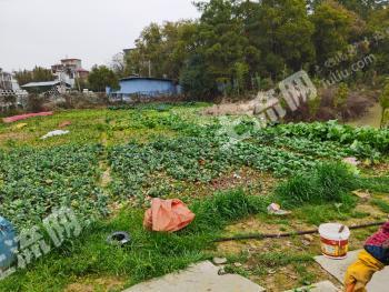 景德镇浮梁县 10.96亩 空闲用地 经营权出租