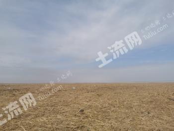 阿勒泰福海县 5000亩 水浇地 经营权出租