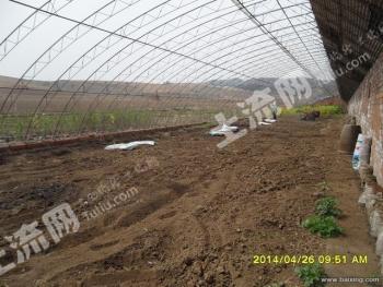 沈阳浑南区40亩其它耕地经营权转让