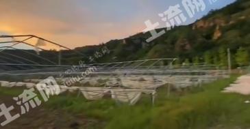 咸阳长武县 70亩 菜园 经营权转让