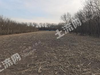 山西太原 6.5亩 旱地 出租
