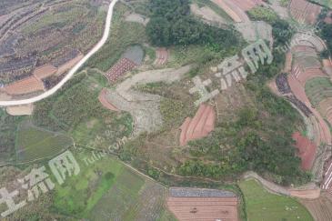 南宁青秀区 385.2亩 灌木林地 经营权出租