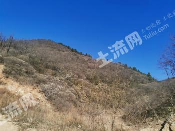 安阳滑县 45.27亩 畜牧养殖用地 经营权出租