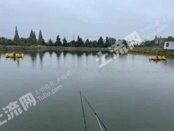 南京浦口区 109亩 坑塘水面 经营权转包