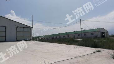 塔城乌苏市 300亩 畜牧养殖用地经营权转让