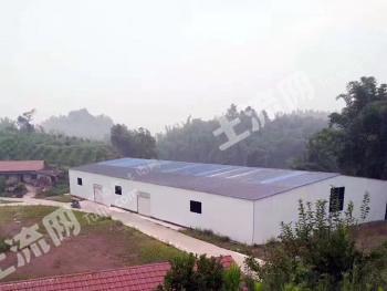 四川自贡春见 276.15亩 果园经营权 转让