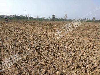 宿州灵璧县 40.16亩 其它林地 经营权转让