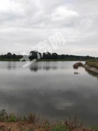 宜春奉新县 211.84亩 山庄经营权 转让