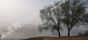 信阳浉河区68.99亩坑塘经营权出租