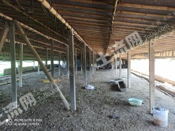 驻马店平舆县 54.99亩 其它林地经营权 转让