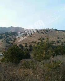 赤峰喀喇沁旗2000亩养殖用地-农场转让