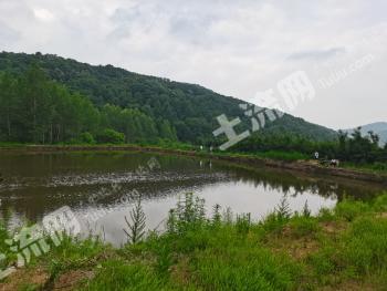 吉林永吉县 770亩 有林地 经营权转让