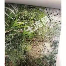 九江修水县18595.95亩有林地经营权转让