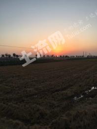 孝感汉川市 59.15亩 其它耕地 经营权转让