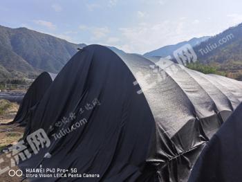 凉山冕宁县 110亩 旱地 经营权转包