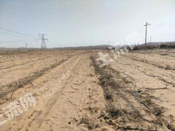 榆林靖边县 400亩 水浇地 经营权出租