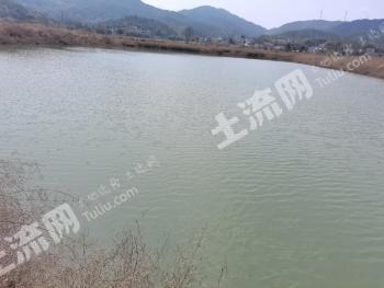赣县区270亩鱼塘经营权出租