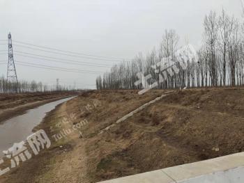 衡水冀州区 148.68亩 有林地 经营权转包