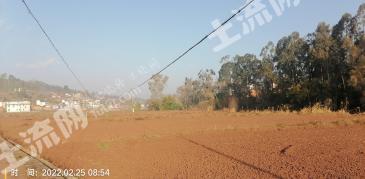 楚雄牟定县 500亩 水浇地 经营权出租