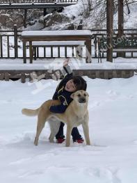 北京老山坡生态庄园经营权出租