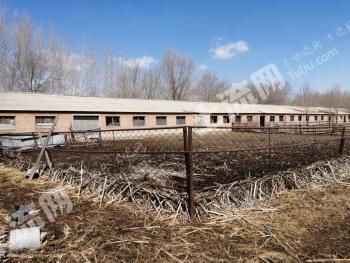 吉林公主岭 900亩 荒地 转让