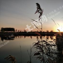 秦皇岛北戴河区 92.96亩 水产养殖用地 经营权转让