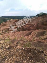 红河弥勒市 230亩 乔木林地 经营权出租