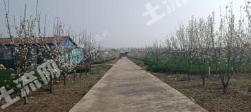 驻马店西平县 50亩 农场 使用权转让