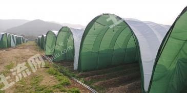 肇庆德庆县 30亩 水浇地 经营权合作