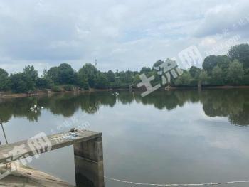 孝感孝昌县80亩农房-度假山庄经营权出租