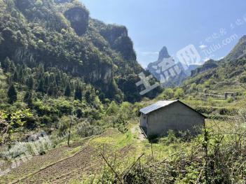 张家界永定区 8亩 水田经营权 出租 带一间100平米房子