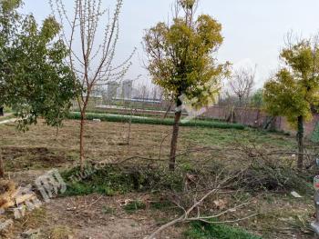 新乡牧野区休闲体验农耕地块经营权出租XX1641