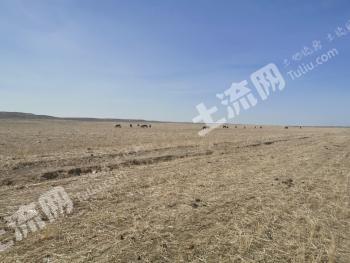 阿勒泰福海县1500亩其它耕地经营权出租