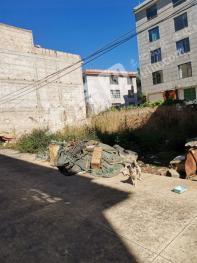 玉溪紅塔區(qū)240平米農(nóng)村宅基地使用權(quán)出租