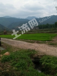 湖南永州 599.08亩 灌木林地 经营权转包