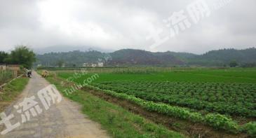 阳江阳春市 27亩 其它林地 经营权出租