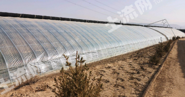 兰州七里河区 45亩 其它耕地 经营权出租