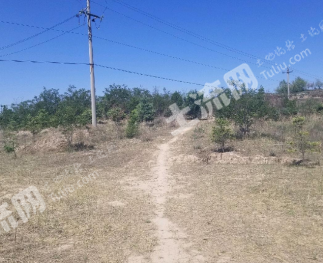 兰州城关区 15亩 其它林地 经营权出租