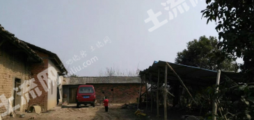 宜昌夷陵区 10亩 水浇地 经营权出租