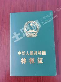 安徽省霍山县5000亩油茶林 经营权转让