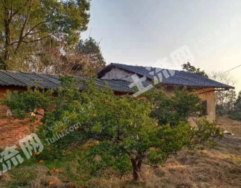 宜昌猇亭区 1亩 设施农用地 经营权出租