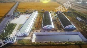 铁岭开原市 100亩 果园 经营权转让