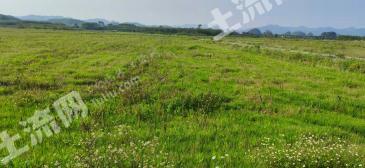柳州融水苗族自治县 1200亩 旱地 经营权转让