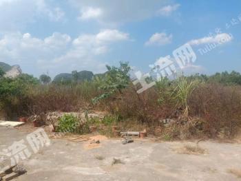 柳州融水苗族自治县 30亩 畜牧养殖用地 经营权出租