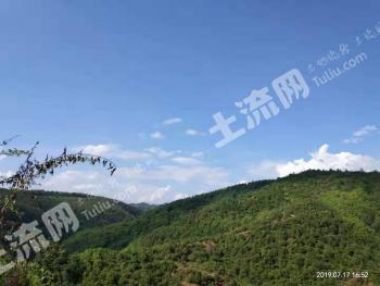 曲靖师宗县499.73亩有林地经营权转让