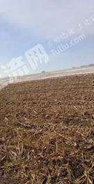 白城大安市7000亩旱地经营权出租