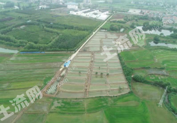 孝感云梦县 30亩 坑塘水面 经营权出租