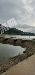 黄石西塞山区34.59亩坑塘经营权转让