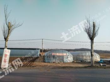 沈阳苏家屯区25.83亩其它耕地经营权转让